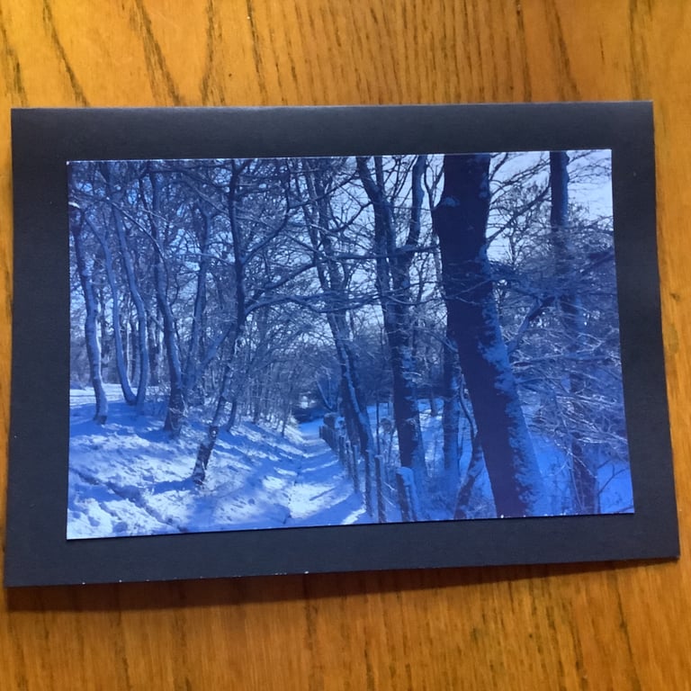Handmade photo card of snowy trees 'Snow slope' 