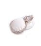 Pendant- wire wrappe scallop shell - Image 4