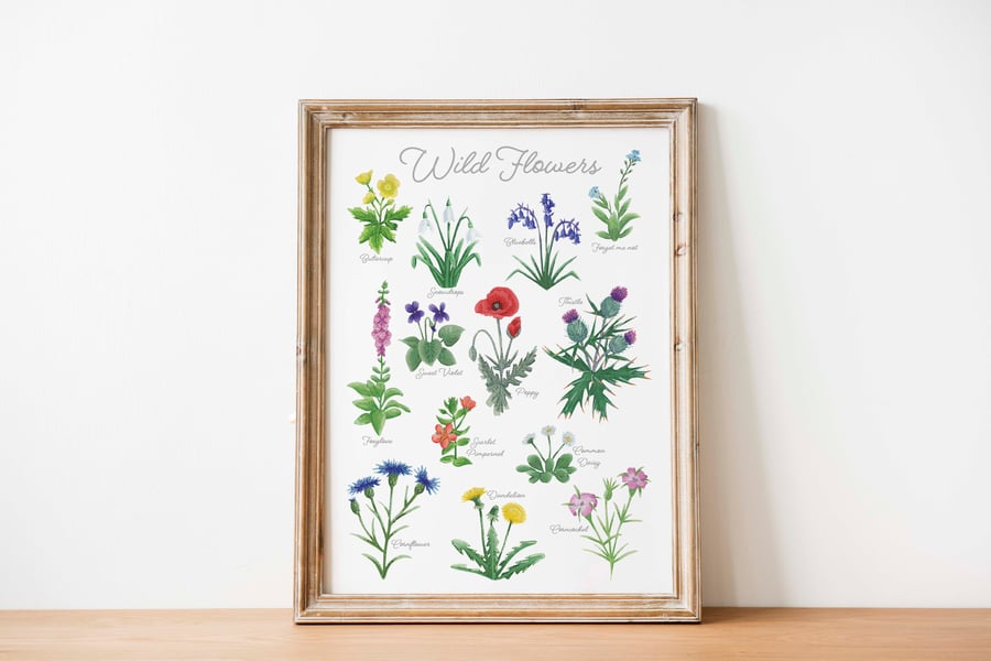 British wildflowers identification art print 