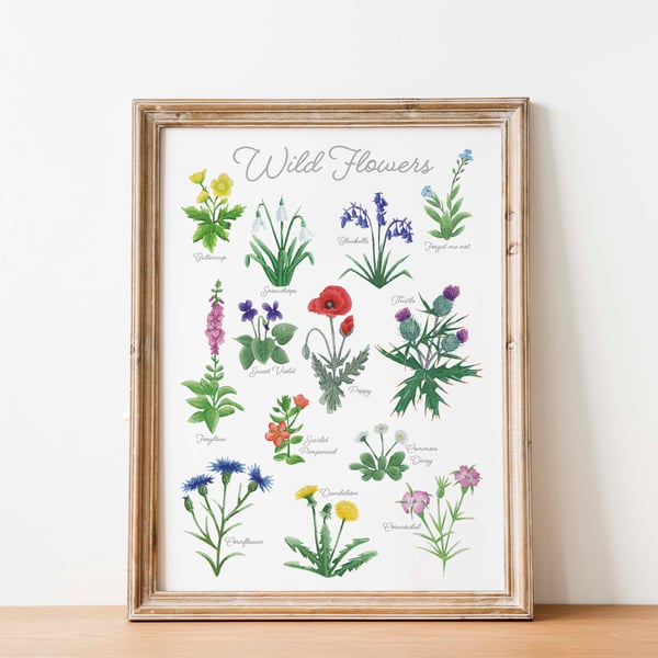 British wildflowers identification art print 