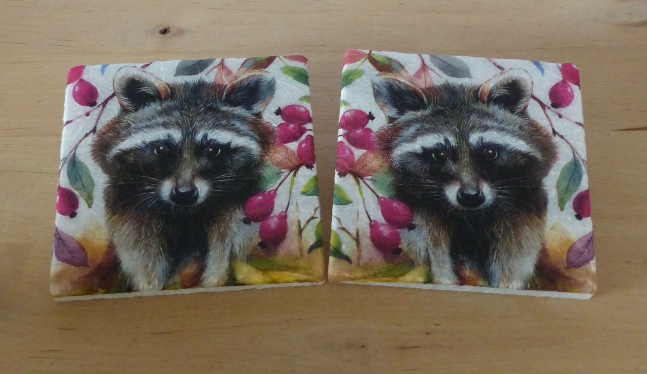 Marble 'Racoon' Coasters
