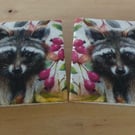 Marble 'Racoon' Coasters