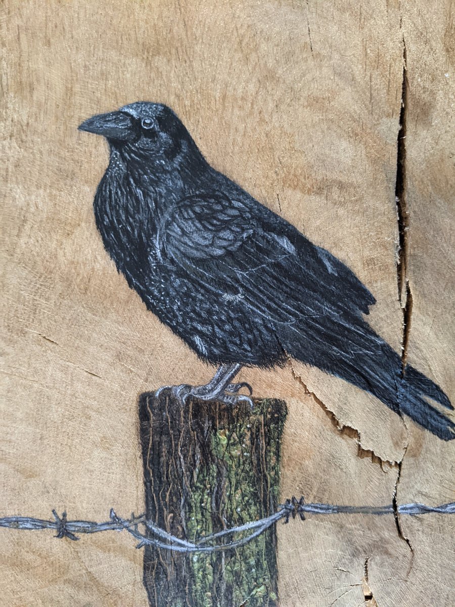 Raven giclee print, raven, A4