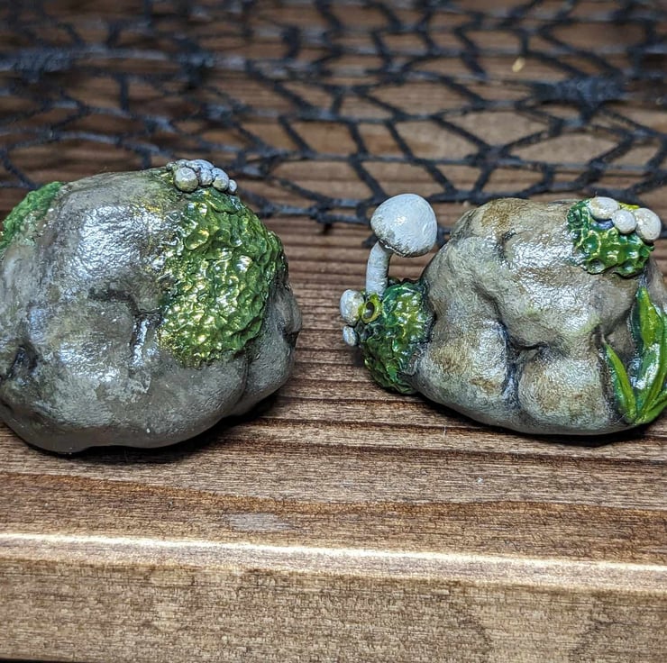 Adorable Decorative Pet Rocks Set Of Folksy