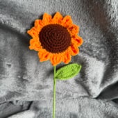 Creative craftybsister