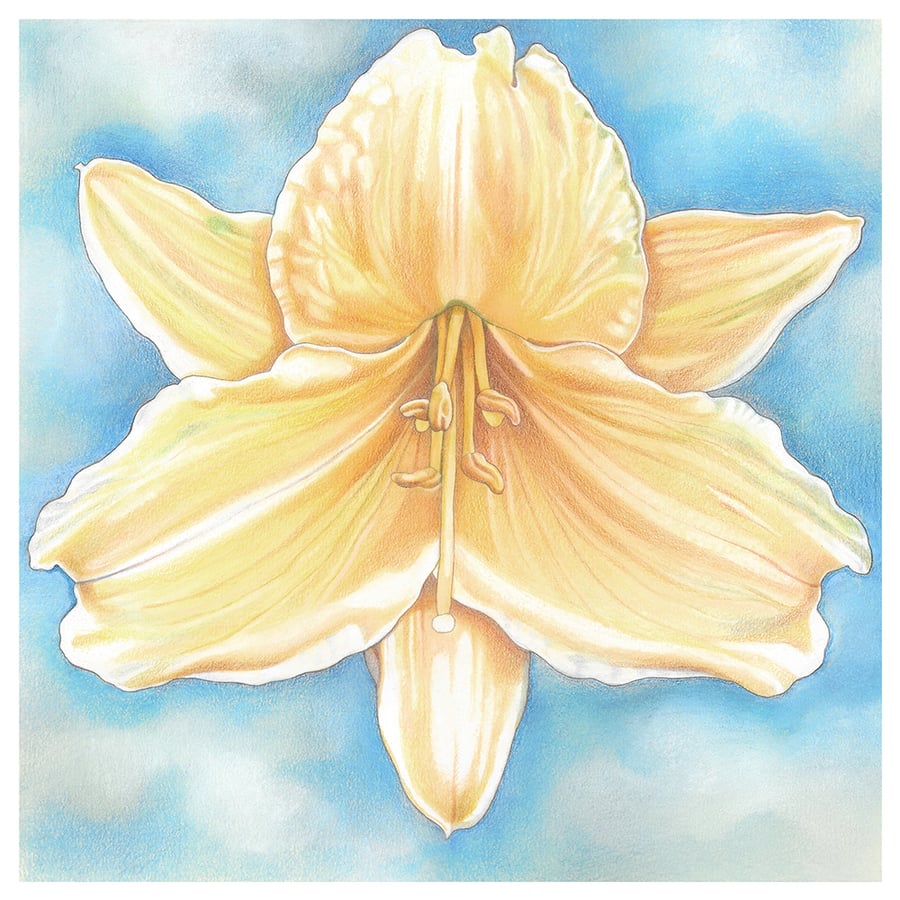 Flower Greeting card - Yellow Flower art, Daylily card, blank card 