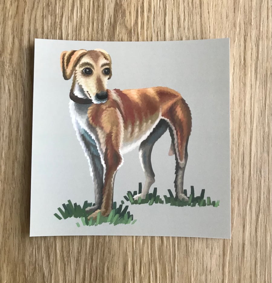 Standing Lurcher Square Post Card Print