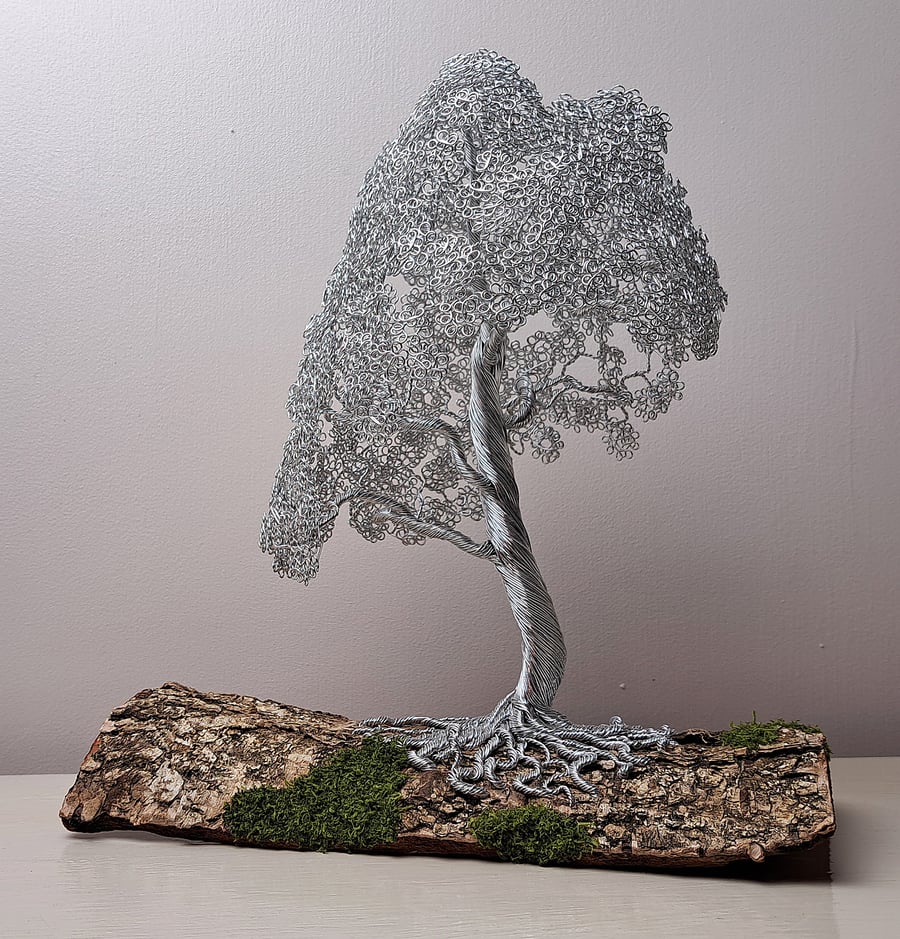 Beautiful mini wire Oak tree mounted on Elm bark. Free UK shipping