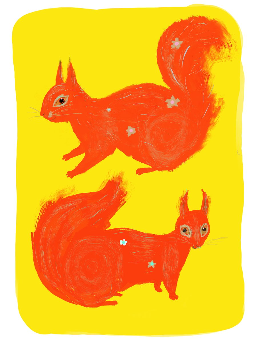 Red Squirrels, Giclée Print