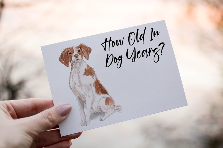 Brittany Spaniel Dog Birthday Card, Dog Birthday Card, Personalized Dog Breed 