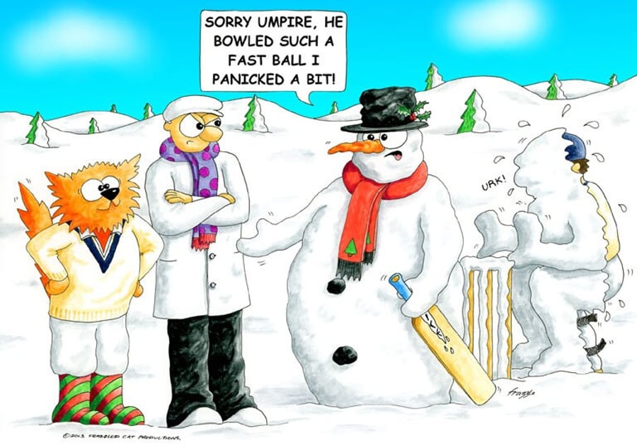 Cricket Christmas card. Panic. Wicketkeeper Funny cartoon card. FREE UK P&P
