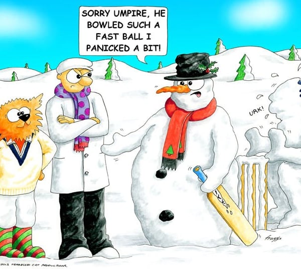 Cricket Christmas card. Panic. Wicketkeeper Funny cartoon card. FREE UK P&P