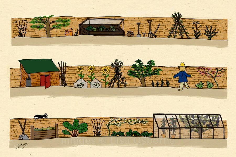 The Walled Garden. Signed print. Digital illustration. Gardening. Vegetables