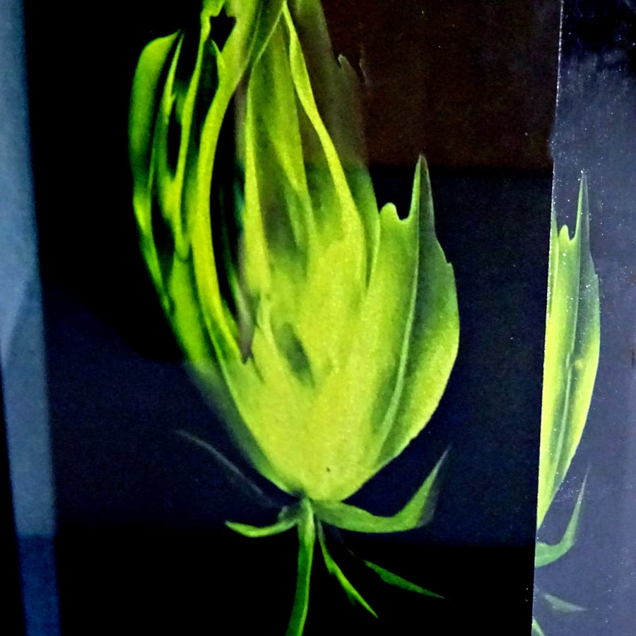 Yellow Tulip 3d Effect Freestanding Resin Artwork - End of Line 