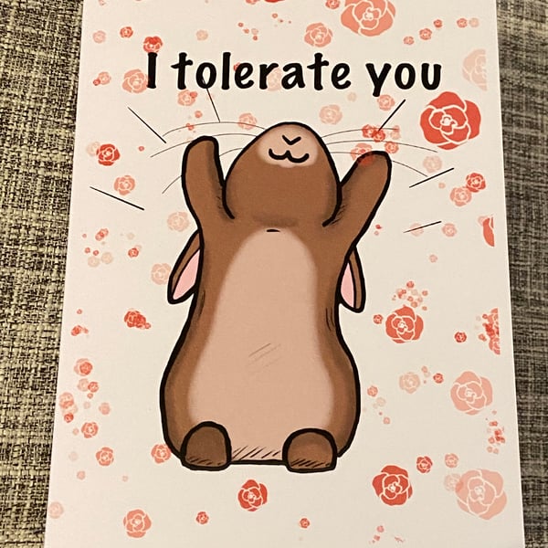 I tolerate you bunny Valentine’s Day card