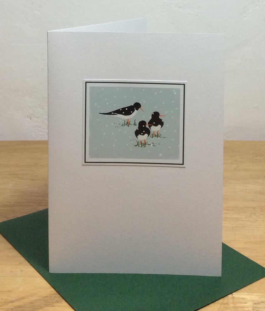 Oystercatchers - bilingual English-Welsh 5 pack Christmas cards