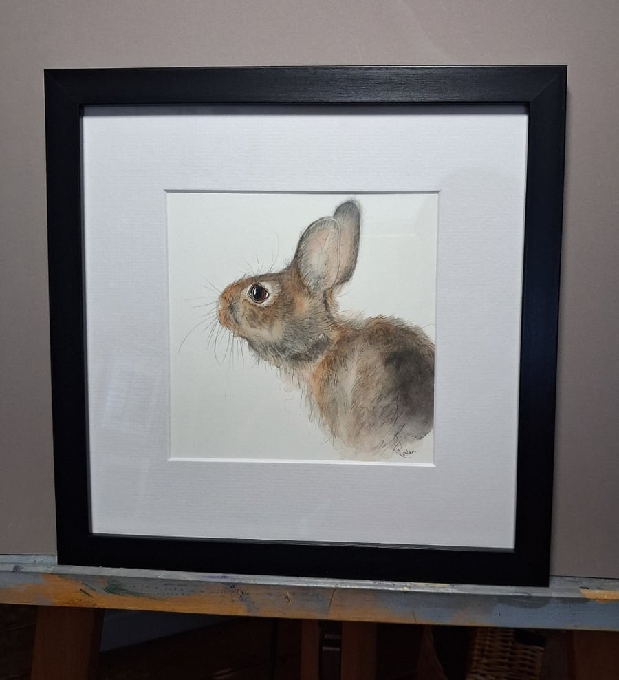 Hare Watercolour Painting 