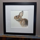 Hare Watercolour Painting 