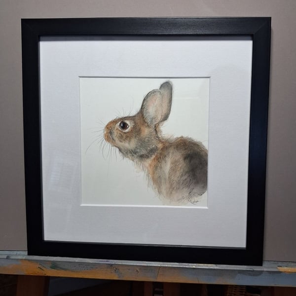 Hare Watercolour Painting 