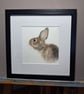 Hare Watercolour Painting 