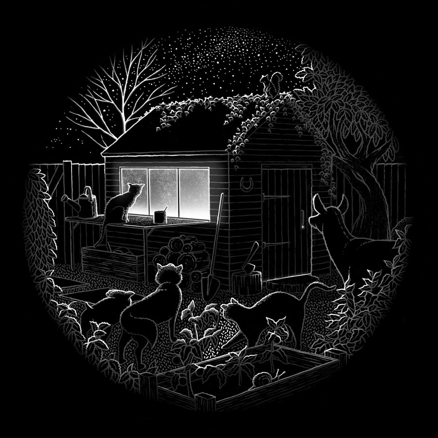 'What's He Building in There?'