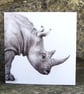 Greetings Card - Blank - Rhino - Image 2