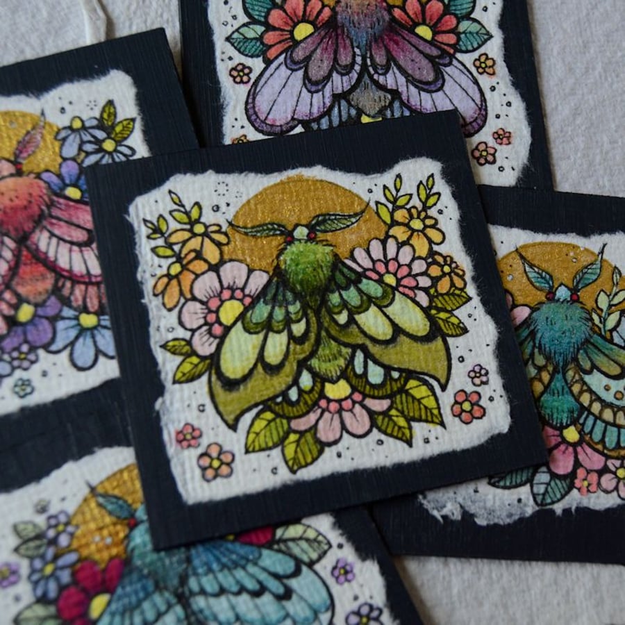 mini midsummer moth - original twinchie