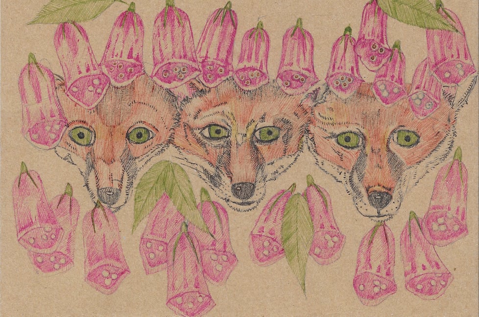 indieclairesillustrations