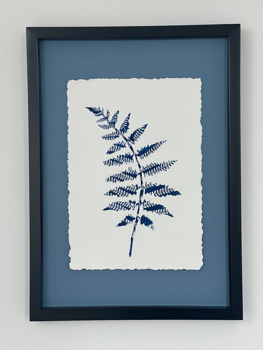 Fern art, Blue and white floral art, Cyanotype Botanical Art