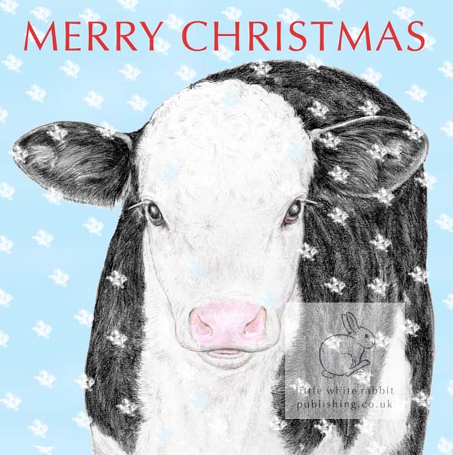 Black & White Calf - Christmas Card