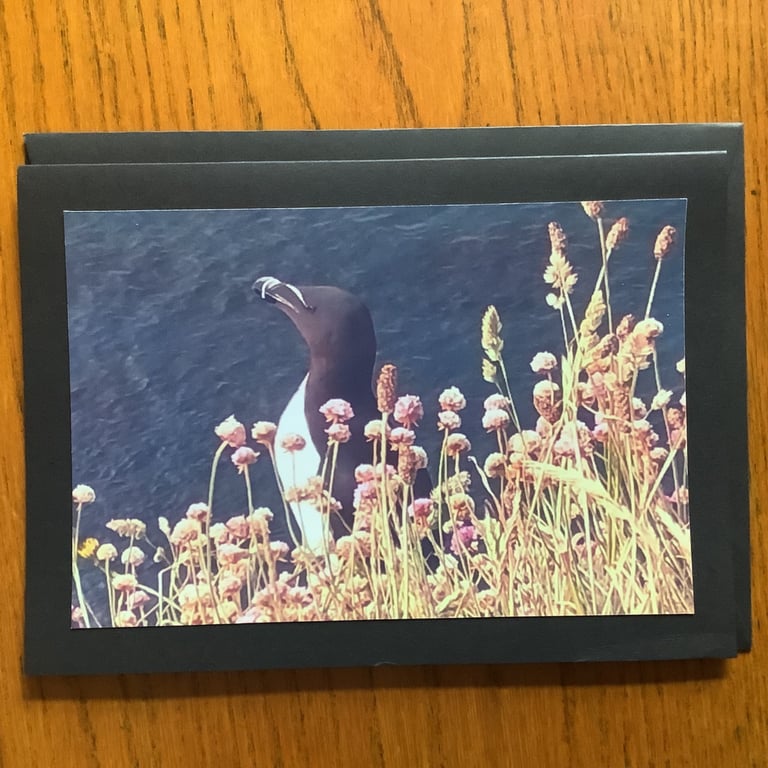 Handmade photo card of a Razorbill and Sea Thrift.