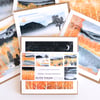 Golden Forest Pack of 6 Greeting Cards