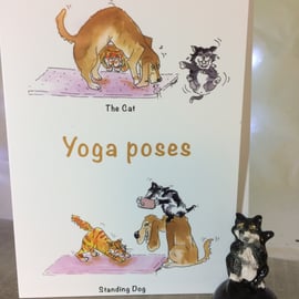 Yoga Poses Dog Cat