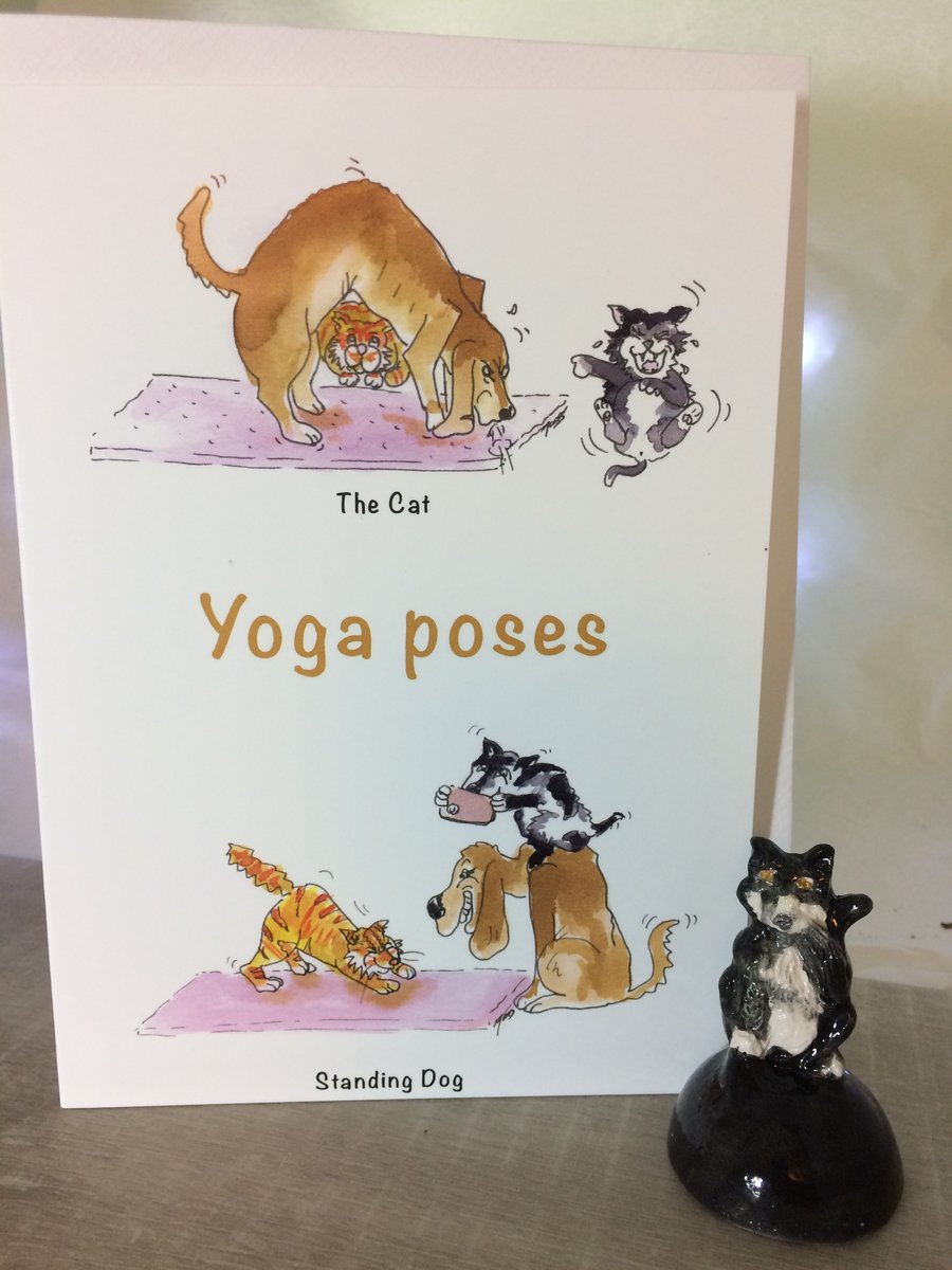 Yoga Poses Dog Cat
