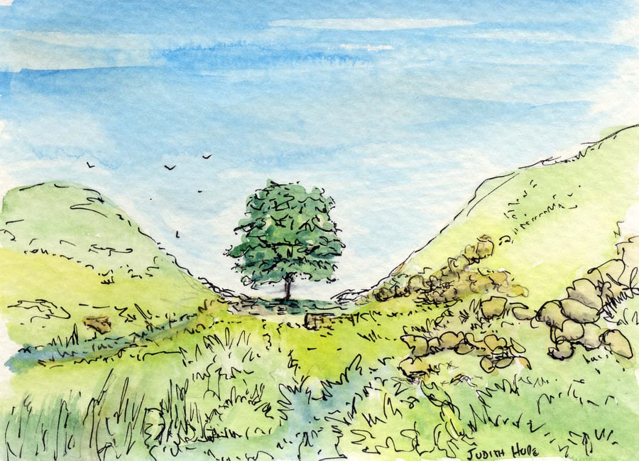 Original Watercolour of Sycamore Gap Northumberland