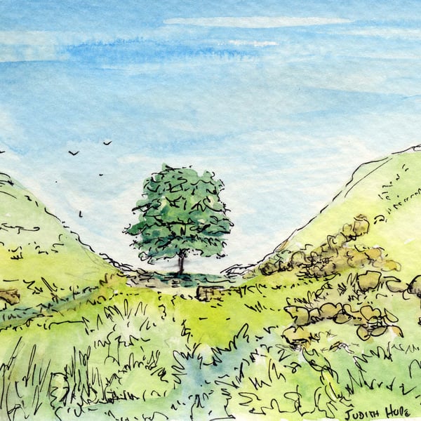 Original Watercolour of Sycamore Gap Northumberland