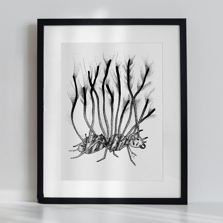 Black & White Ant Art Print Illustration Nature Meets Horror with Cordyceps Fung