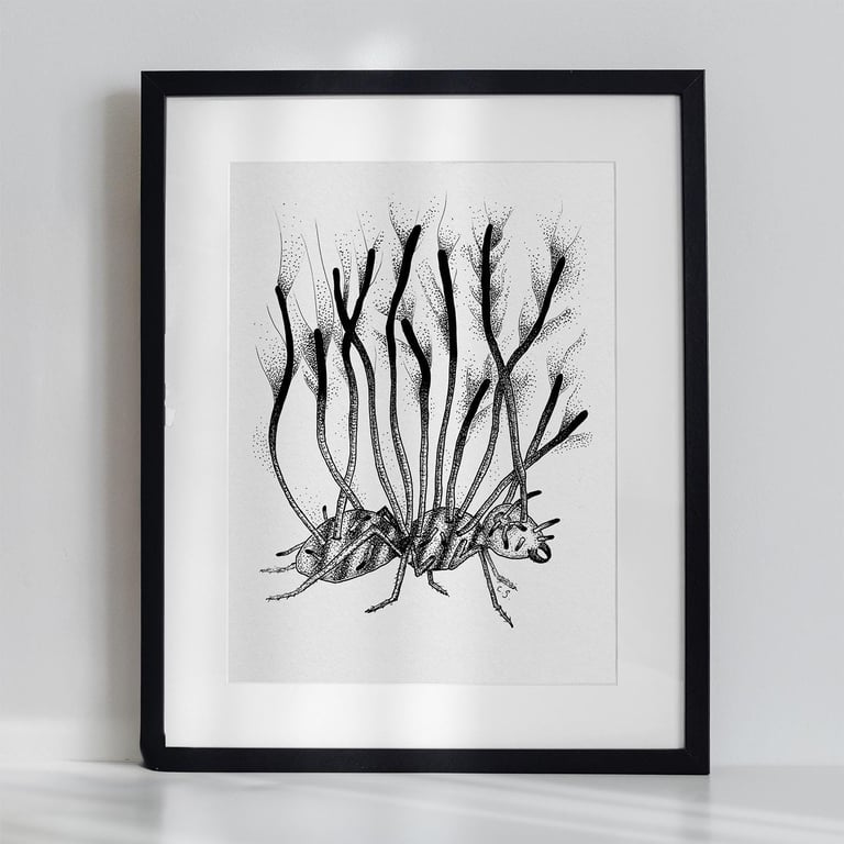 Black & White Ant Art Print Illustration Nature Meets Horror with Cordyceps Fung
