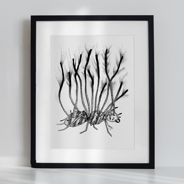 Black & White Ant Art Print Illustration Nature Meets Horror with Cordyceps Fung