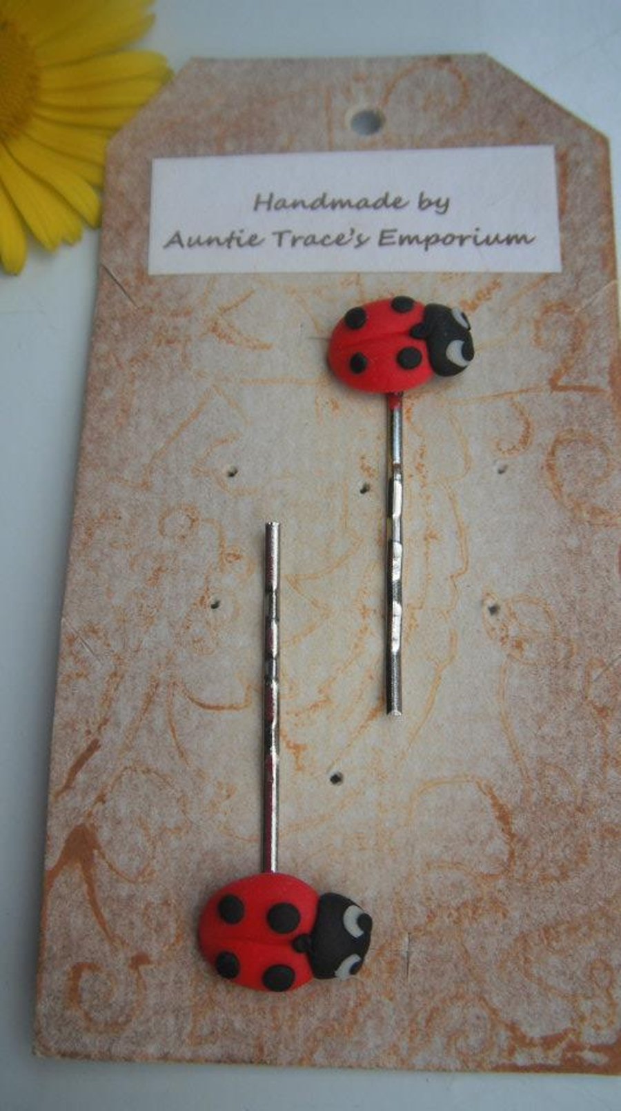 Ladybird Hair Slide 2pk