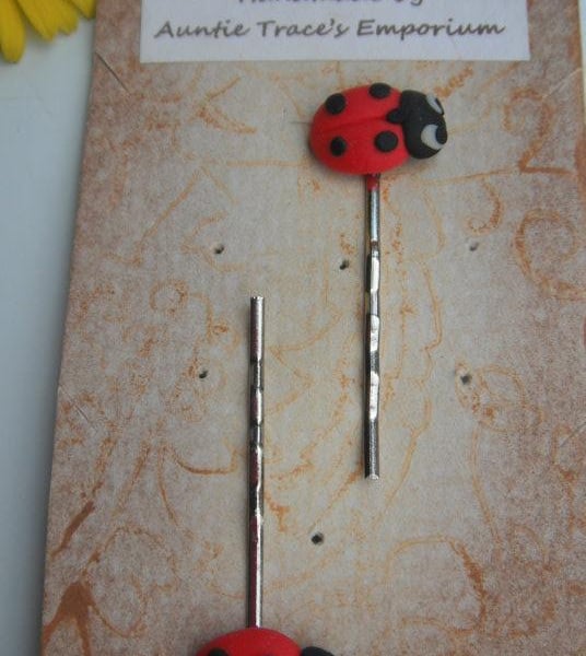 Ladybird Hair Slide 2pk