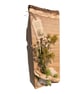 Handcrafted Red Oak Coastal Wooden Display Plaque with Sea Shells & Driftwood  - Image 10