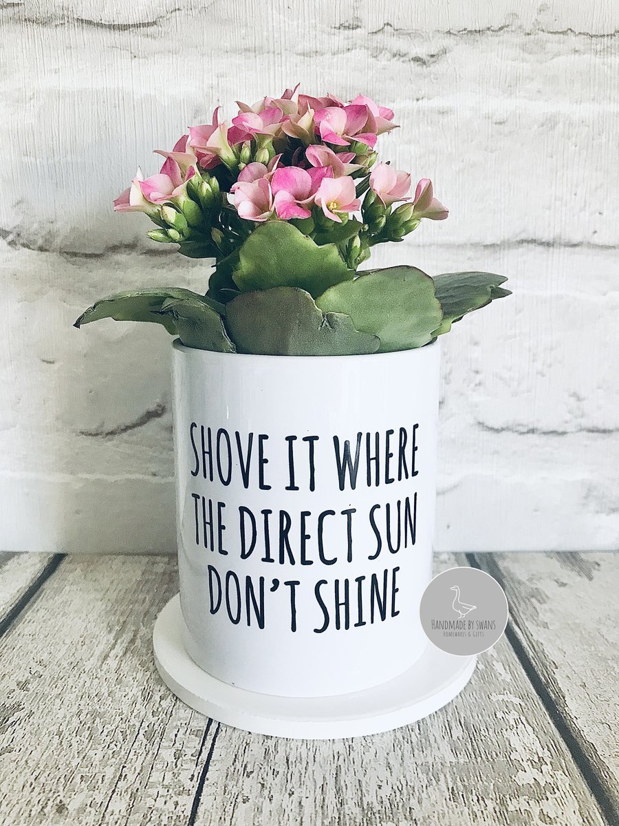 Funny Plant pot, planter, cactus pot, gift for women, gift for her, 