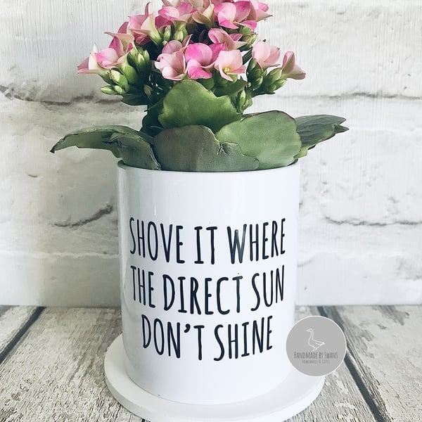 Funny Plant pot, planter, cactus pot, gift for women, gift for her, 