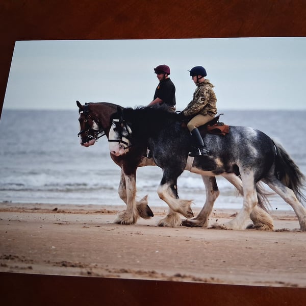Horses at seaside