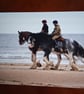 Horses at seaside
