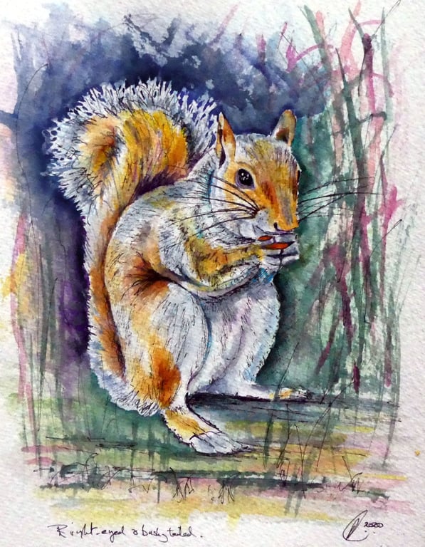 Squirrel Original Fine Art Painting Wildlife Watercolour 