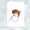 Harvest Mouse Greetings Card