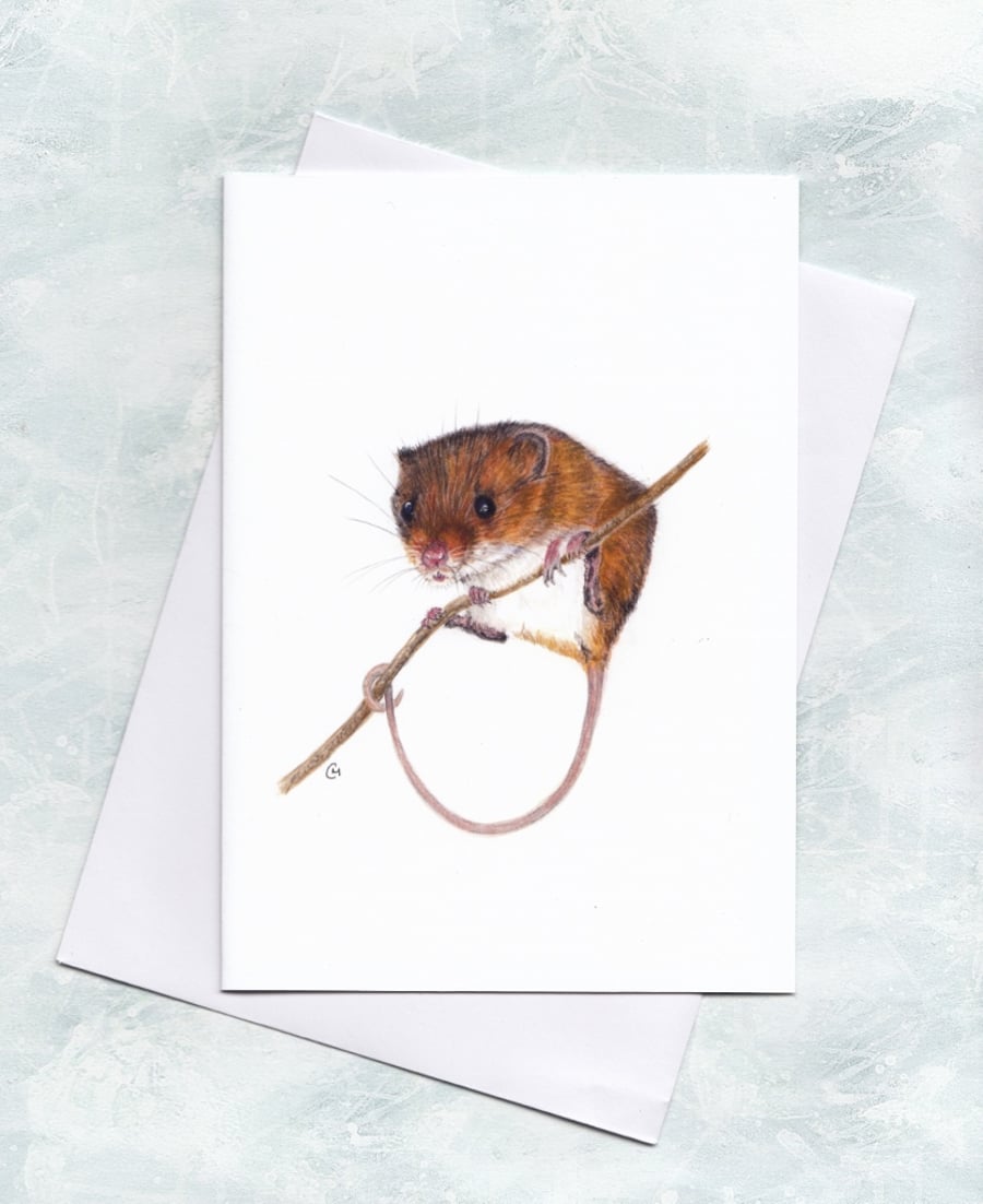 Harvest Mouse Greetings Card