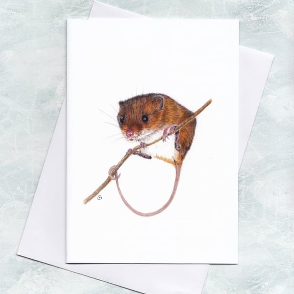 Harvest Mouse Greetings Card
